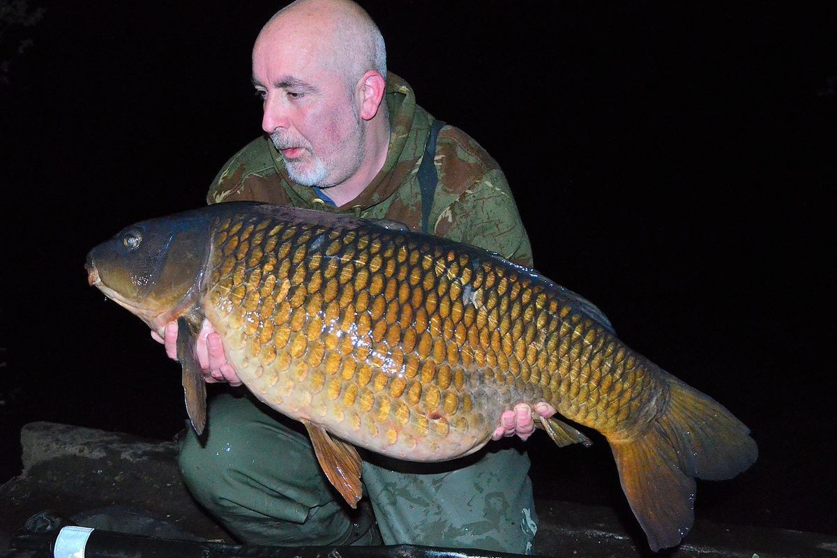 The Quarry A New UK Adventure