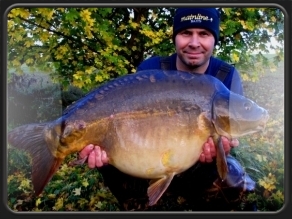 Dave Levy