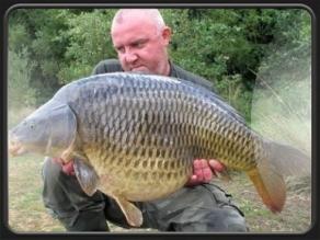 Steve Mogford
