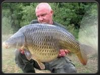 Steve Mogford