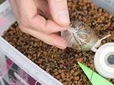 How To Tie A Solid PVA Bag With Wayne Mansford