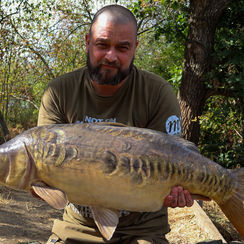 Catch by 