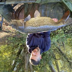 Catch by