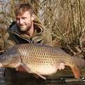 A cracking 30lb 8oz common for @darrell_pecky caught on a test bait pop-up fished over a scattering of 10mm Hybrid boilies! #carp #fishing #hybrid #mainline