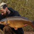 Crack dark and golden common for @rickytownley using Activ-8 ????#carp #fishing #mainline