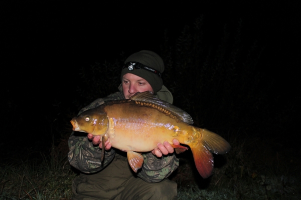 The little stock mirror caught in high winds