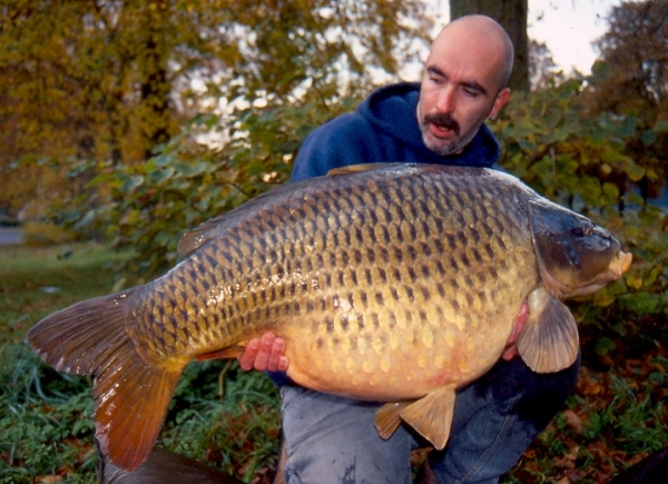 49lb Activ Maple-8