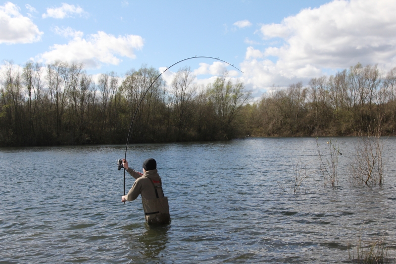 Don't be afraid to recast and roam your single hookbaits around your swim