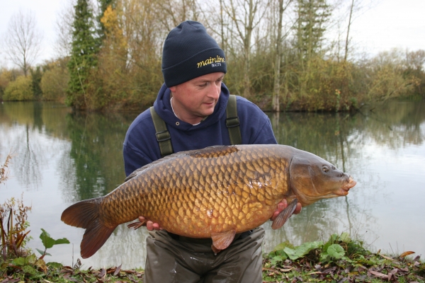 A nice winters common from Willow Pool at Linch Hill and yet another carp on my Longshank Rig