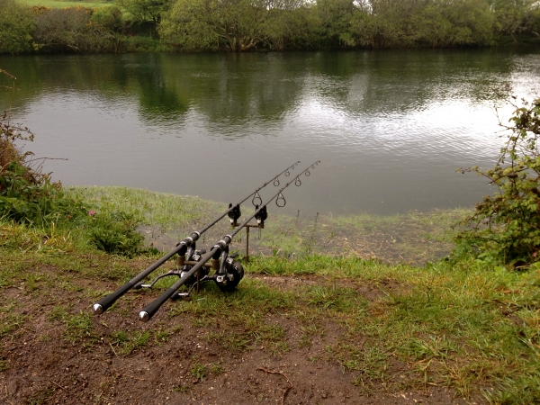 Rods out - before dark this time