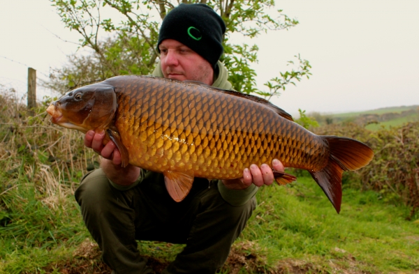 A lovely scale perfect common from the far side spot