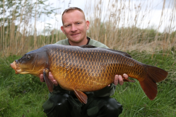 A lovely dark Zig common