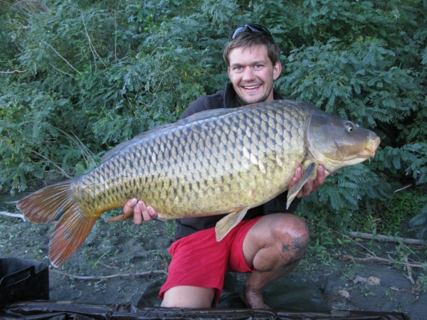 A nice forty plus wild River Rhone common.