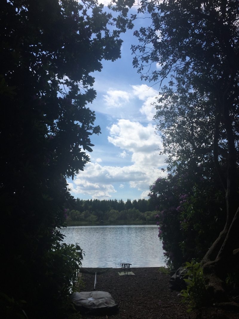 View from the swim