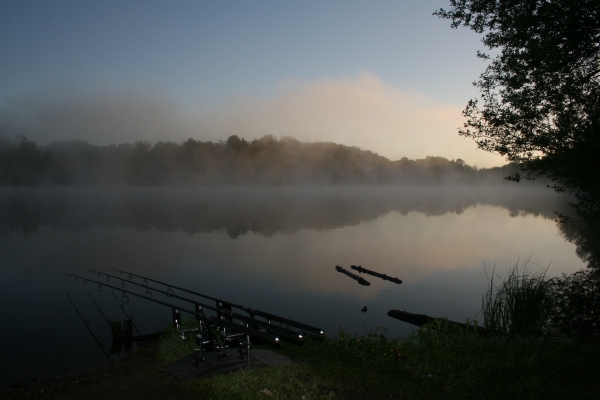 Most mornings I was greated by a fish at sunrise whilst I watched an incredible dawn unfold