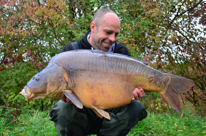 41lb 8oz