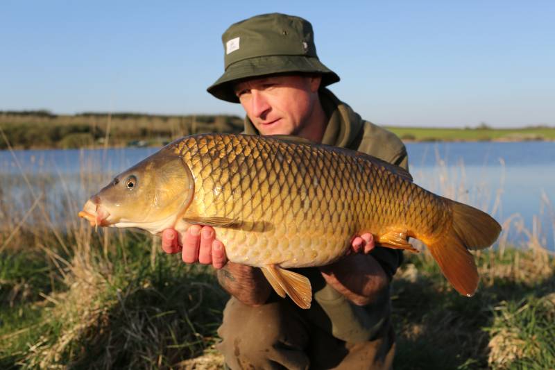 A big water, Upper Tamar carp in perfect condition!