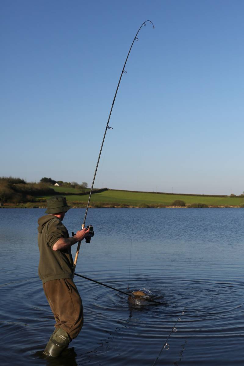 Choose a well-stocked venue such as Upper Tamar and the action can be prolific