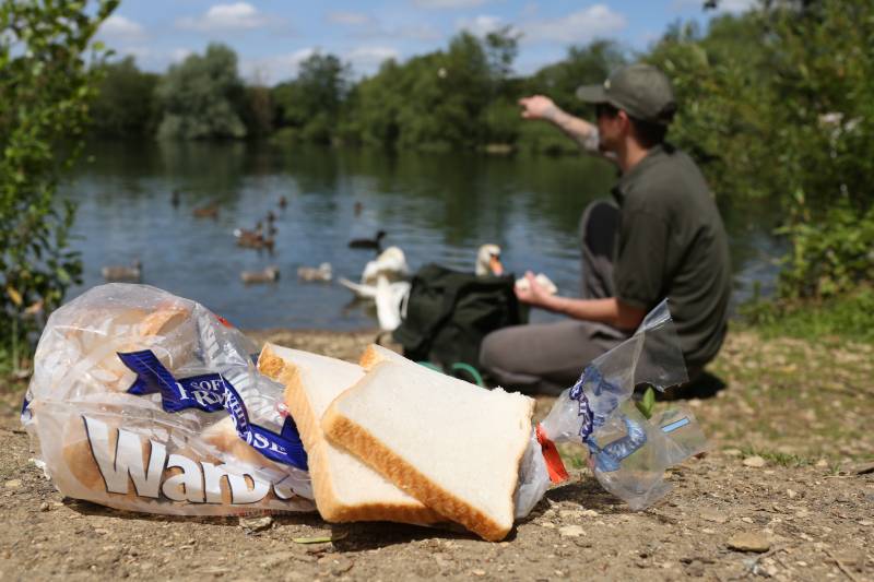 Feed off the birds before try to feed the carp