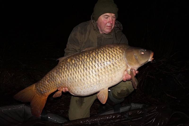 A lovely 53lb common