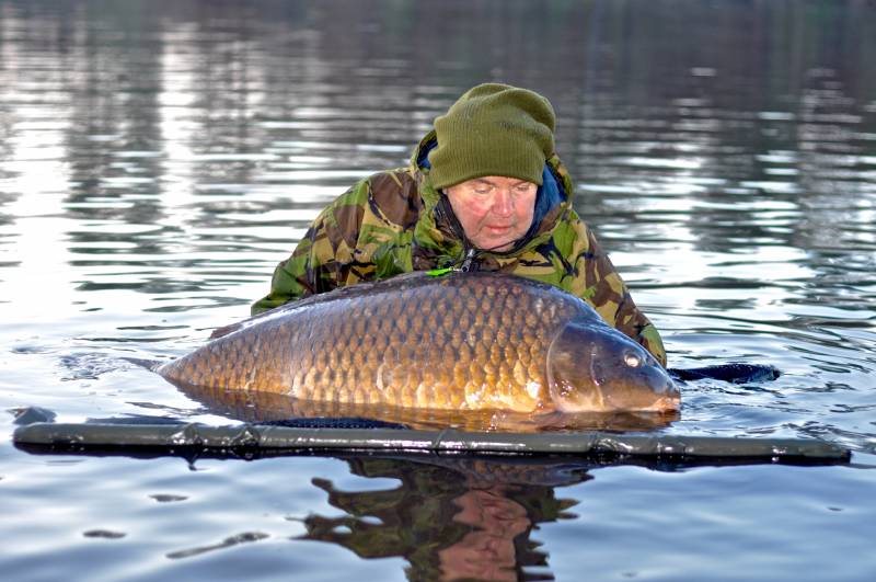The Perfect Common 86lb 4oz! There was no way I could lift a carp of this size out for your normal catch shot, but the memory was big enough!