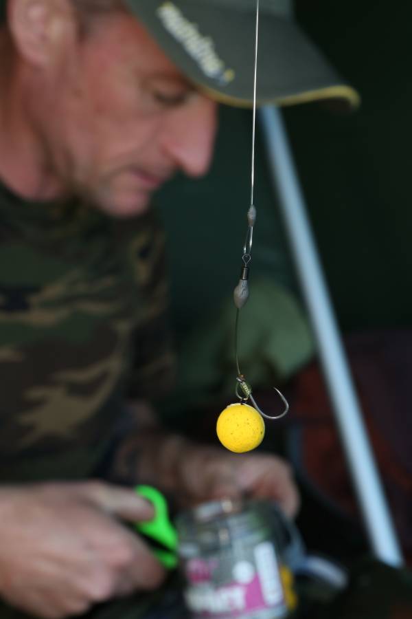 The Hinge Rig: one of favoured ways of presenting a hookbait in weed