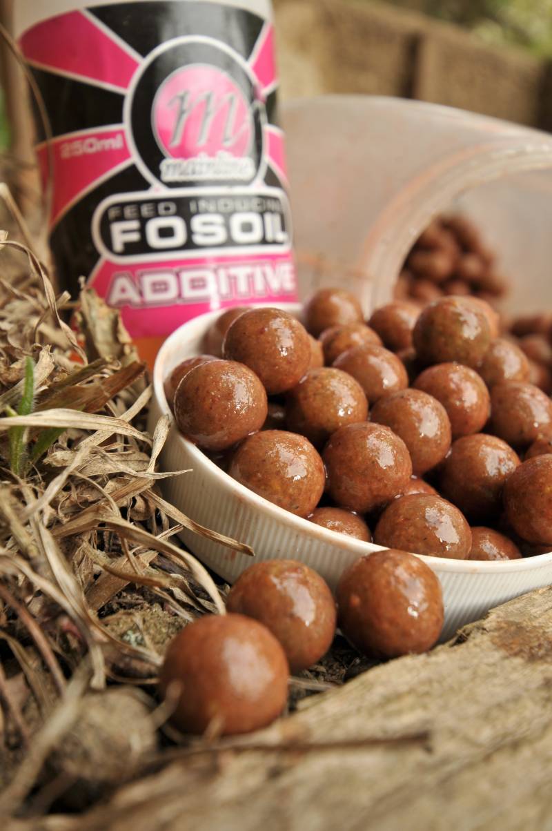 Liquid attractors can completely transform the appeal of your freebies, and oil will harden the baits too