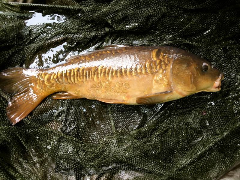 Stunning Linear Mirror