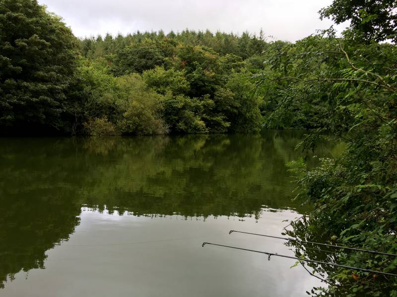 Rods out in the bay