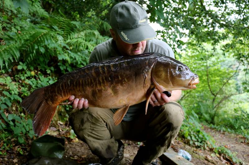 The hard fighting Mirror carp