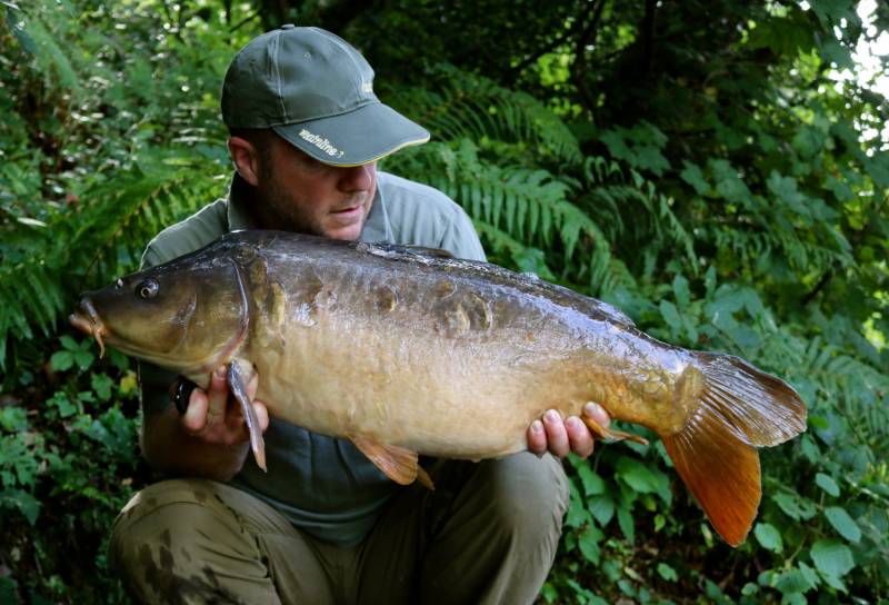 The last one, a very dark scaly recognisable mirror