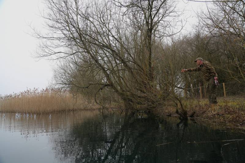 Reedbeds and margins are still worth a look during the day