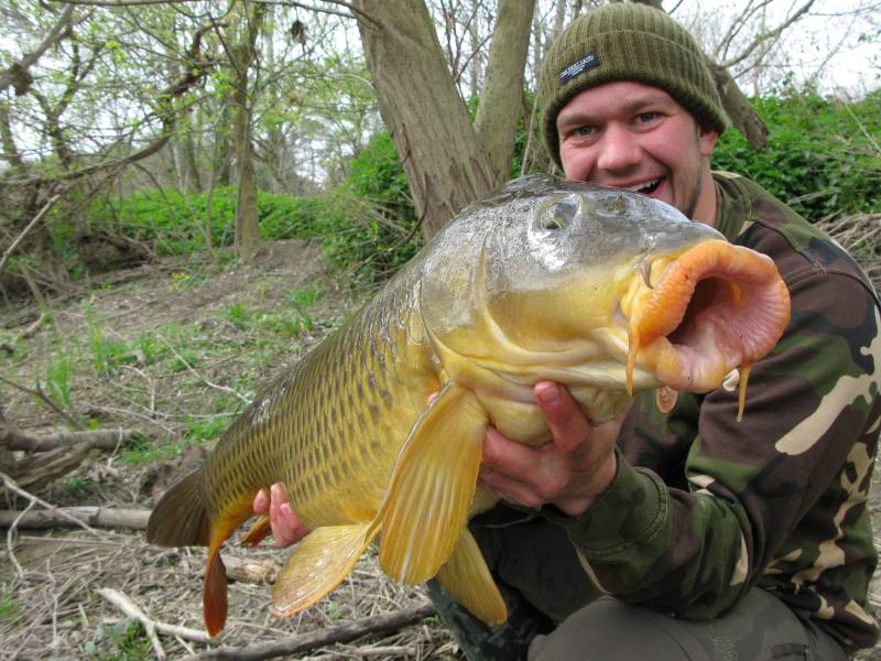 A 20lb carp can easily take a 28mm boilie