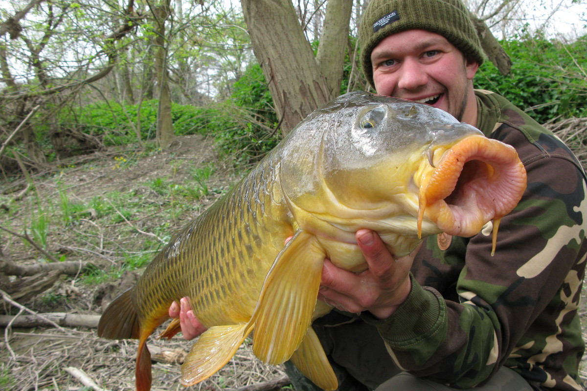 Hookbait Tips From Team Mainline