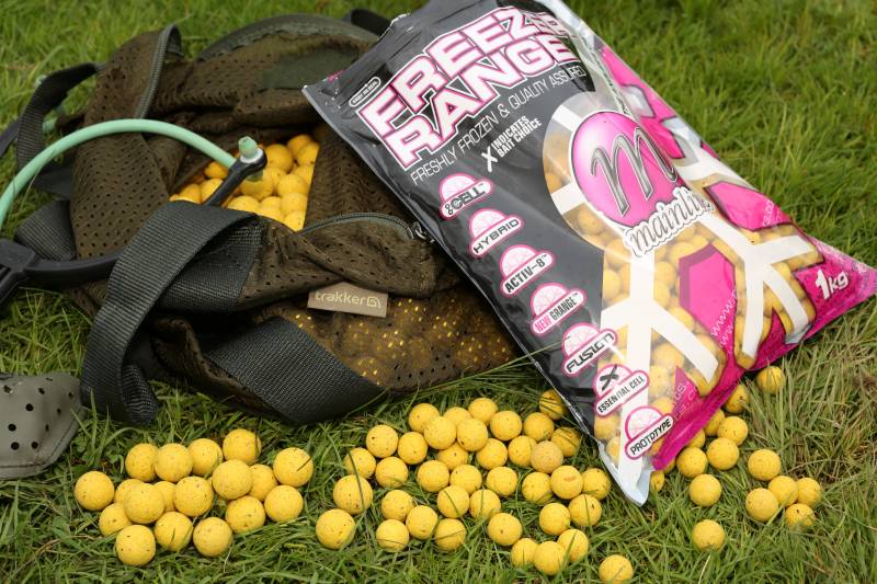 Food source boilies: everything a big pit carp is looking for