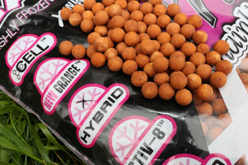 Freezer baits that have covered my fishing in the UK for 25years!