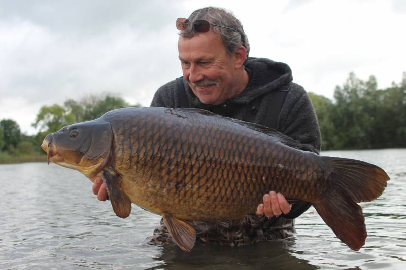 Carp feeding confidently across a spread of baits are far more catchable