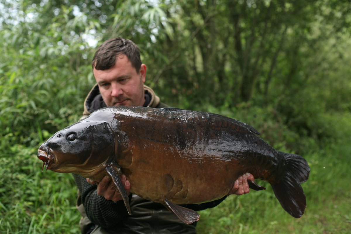 Chasing The King Of The Pond