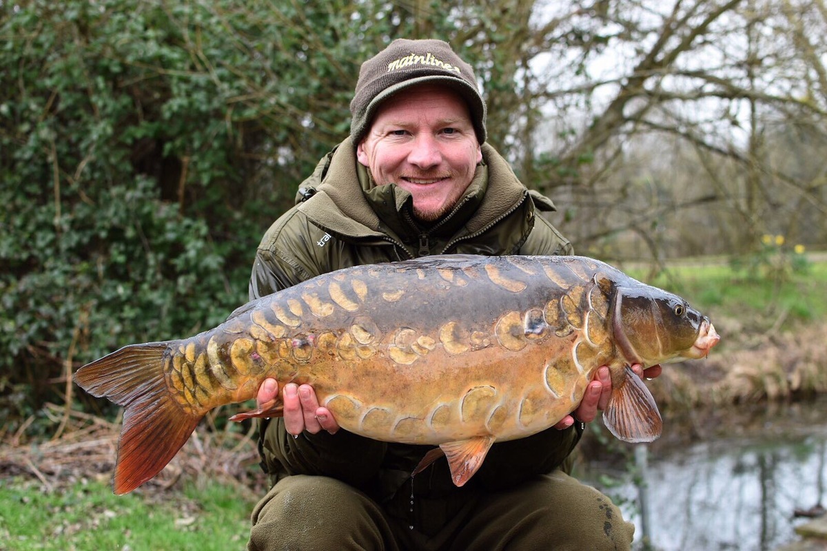 SWEET ZIG SUCCESS