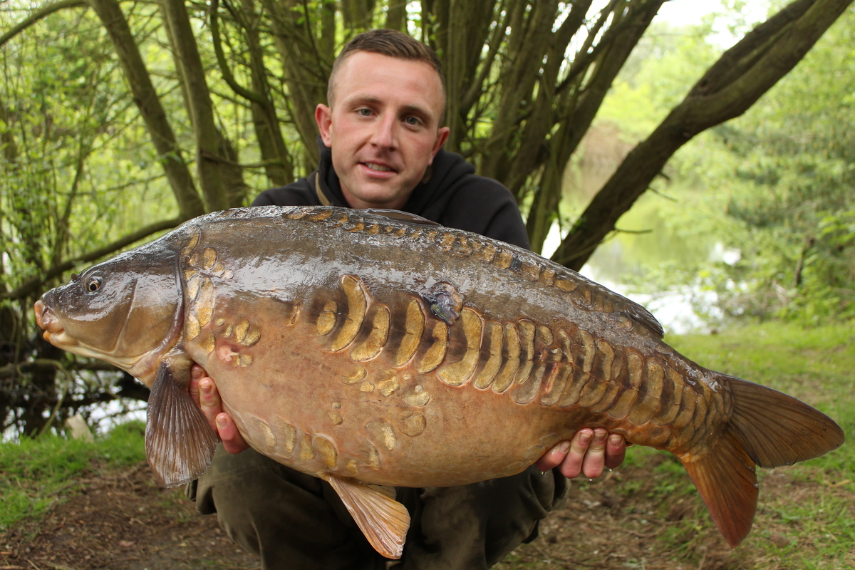 Match methods; they catch big carp too!