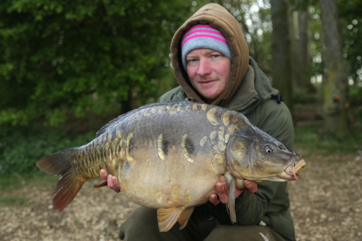 A lovely B1 mirror