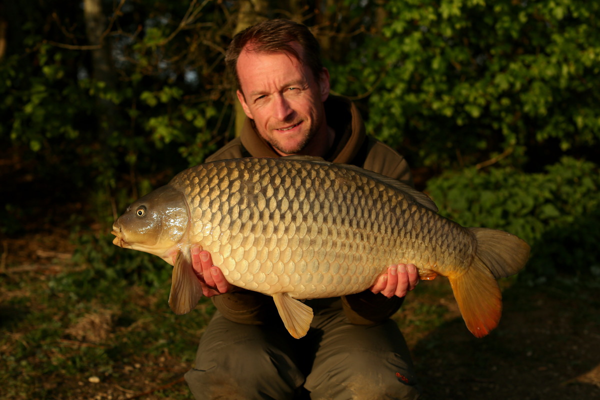 A quick solid bag evening bite and a clean B1 common