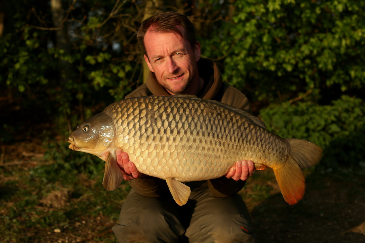 A quick solid bag evening bite and a clean B1 common