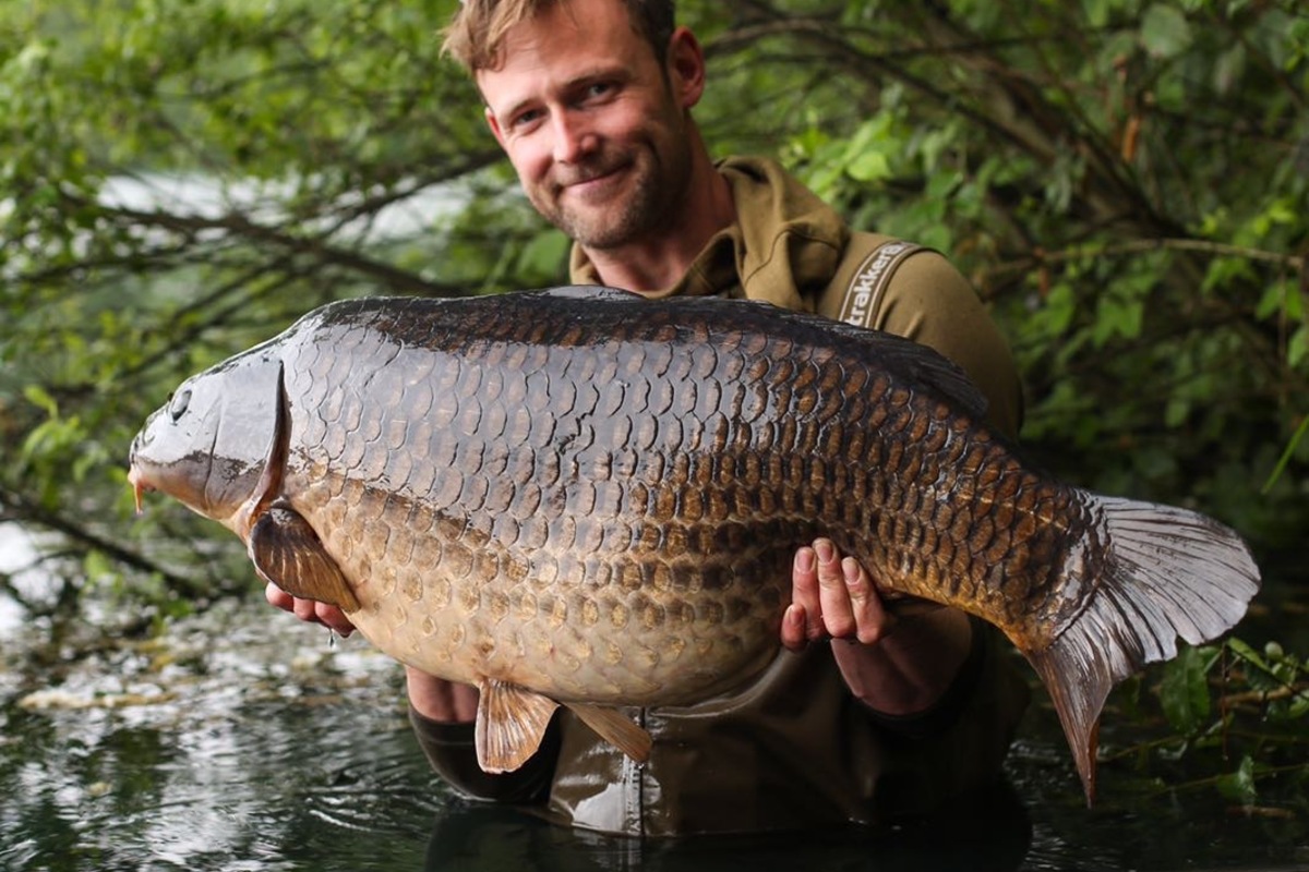 A 35lb Yateley common and a bit of pay back on Sandhurst Lake