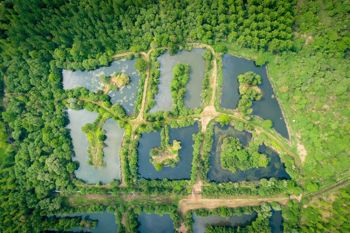 CarpInsula; a beautiful nature lake of around 27 acres