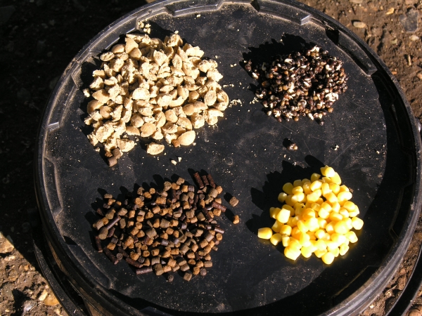 A selection of baits for close in.