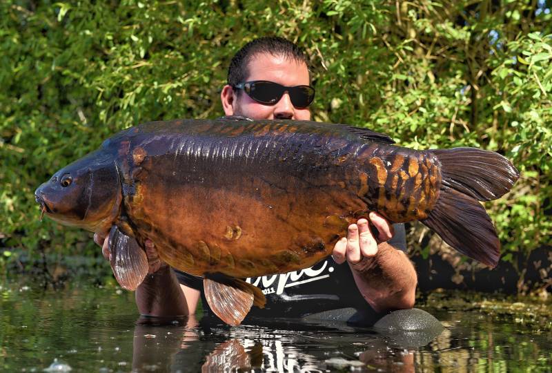 Single Scale Illegal from Wraysbury 1 was just one summer highlight