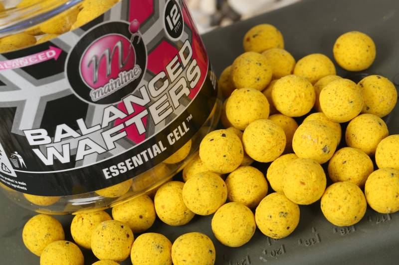 12mm Balanced Wafters one of my favourite hookbaits