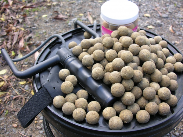 All the Mainline baits are acceptable to carp throughout the year