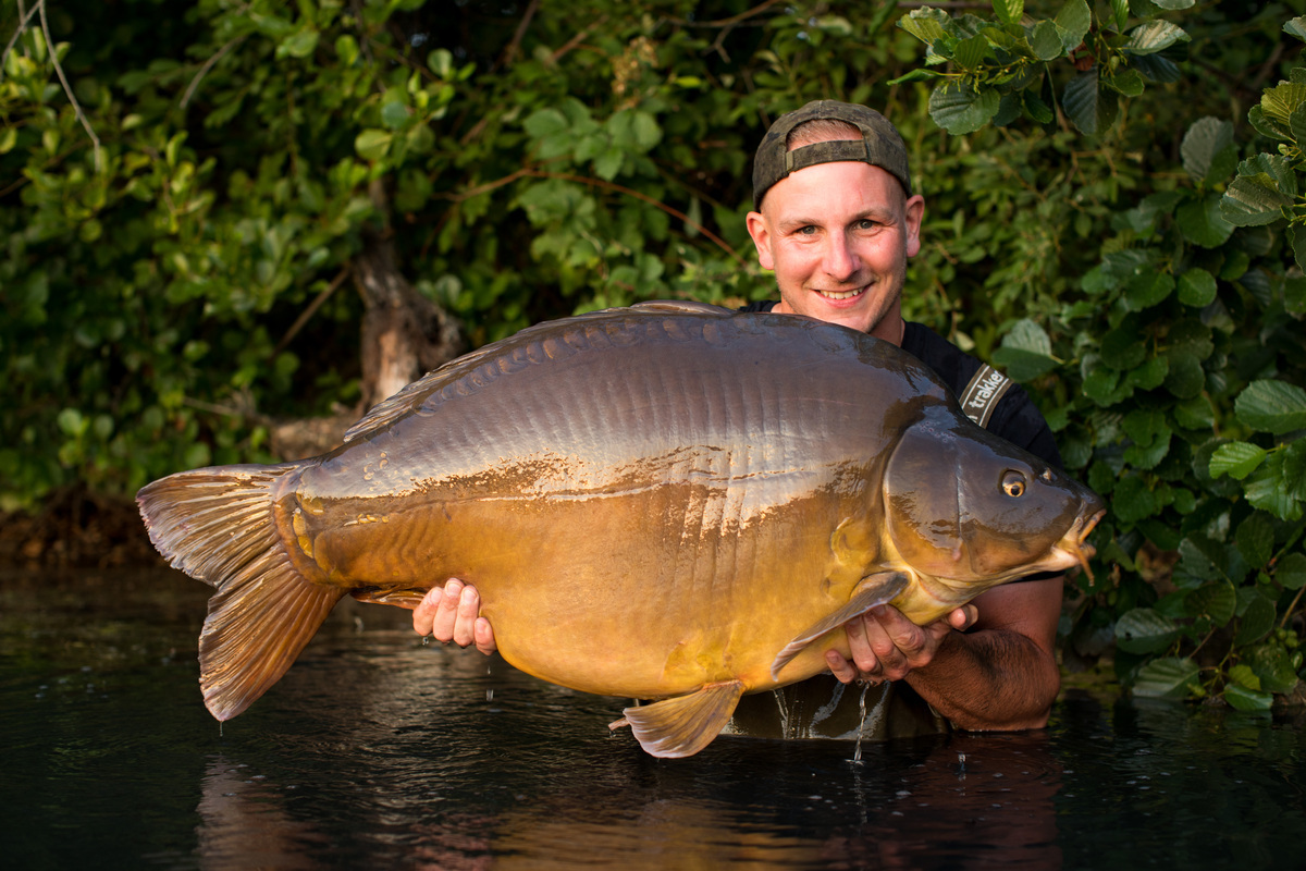 HOLIDAY CARPING